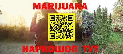 индика Лесосибирск