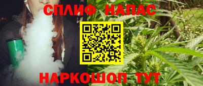 индика Лесосибирск