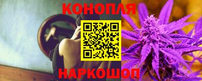 индика Лесосибирск