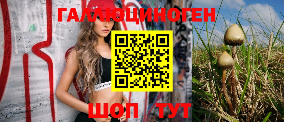 Псилоцибиновые грибы GOLDEN TEACHER  Вход с VPN  Чапаевск 